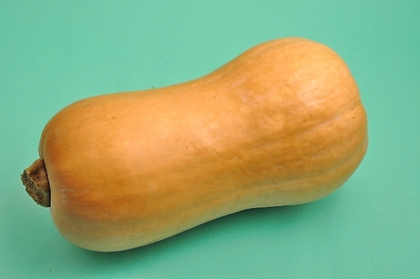 포토 JPG 해외이미지 음식 채소 호박 사람없음 신선 달콤 날것 스쿼시 정물화 해외202004 해외포토 스포츠 구기 맛 그림 파일형식 이미지허브