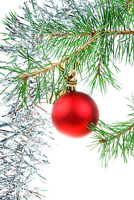 포토 JPG 해외이미지 나무 백그라운드 크리스마스 겨울 공 휴가 매달리기 사람없음 장식 초록색 빛 컬러풀 지구본 희망 축하 황금 오브젝트 고립 여의주 해외202004 해외포토 식물 계절 기념일 감정 컬러 컨셉 모션 파일형식 이미지허브