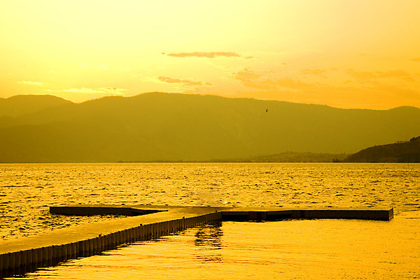 포토 JPG 해외이미지 공원 호수 자연 조류 하늘 아침 풍경 사람없음 야외 물 여름 반사 평화 일출 항구 침묵 황혼 일몰 새벽 야간 저녁 워싱턴 해외202004 해외포토 주간 자연요소 동물 계절 공공시설 컨셉 교통시설 노을 미국 소리 생태계 파일형식 이미지허브