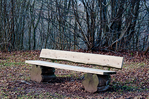 포토 JPG 해외이미지 나무 계절 공원 백그라운드 단풍 잎 겨울 벤치 자연 휴식 풍경 사람없음 야외 목재 초록색 여름 강 노란색 침묵 안개 덮개 가을 시골 죽음 고독 강가 싱글 뿌연 해외202004 해외포토 식물 공공시설 감정 컬러 컨셉 의자 재료 날씨 소리 뚜껑 생태계 파일형식 이미지허브