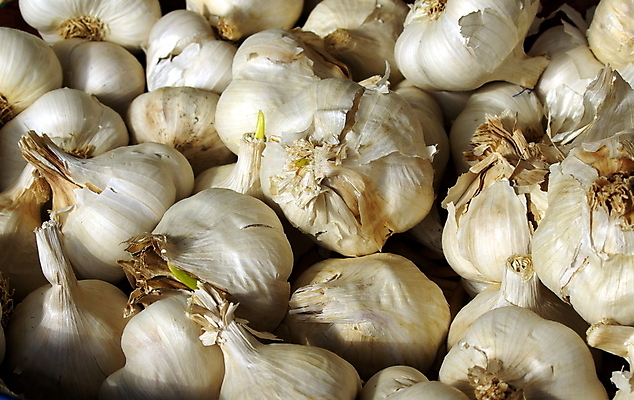 포토 JPG 해외이미지 식물 음식 채소 과일 자연 마늘 사람없음 약 맛 향신료 냄새 발가락 해외202004 해외포토 컨셉 의학 발 생태계 향미료 파일형식 이미지허브