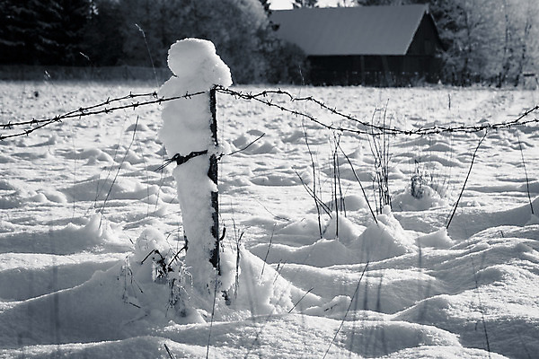 포토 JPG 해외이미지 구름 유럽 이동 겨울 밭 하늘 날씨 미술 풍경 사람없음 야외 파란색 울타리 농장 검은색 사진촬영 목장 추위 안개 가을 흰색 시골 발자국 러시아 철사 철조망 북쪽 소비에트 스칸디나비아 시베리아 에스토니아 해외202004 해외포토 자연요소 계절 나라 컬러 컨셉 농업 자국 문화예술 담장 촬영 방향 파일형식 이미지허브