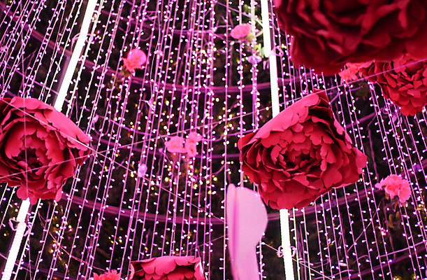 포토 JPG 해외이미지 나무 행복 분홍색 백그라운드 크리스마스 패턴 태국 새해 사람없음 장식 장미 축제 시간 날짜 큼 보케 블러 카운트다운 해외202004 해외포토 식물 기념일 꽃 감정 아시아 컬러 무늬 크기 파일형식 이미지허브