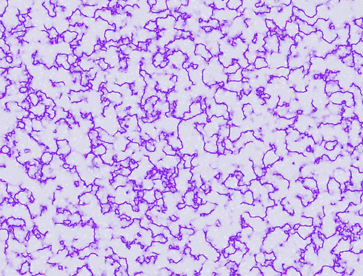 포토 JPG 해외이미지 패턴 표면 산 사람없음 건물 거친 플랫 제비꽃 지질학 화강암 해외202004 해외포토 건축물 교육 꽃 무늬 암석 파일형식 이미지허브