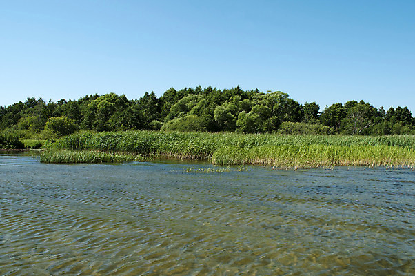 포토 JPG 해외이미지 나무 식물 호수 여행 잎 자연 지팡이 하늘 낚시 바람 갈대 풍경 사람없음 야외 초록색 물 여름 파란색 강 햇빛 반사 환경 맑음 시골 만 습지 숲 강가 웨이브 러시아 잔물결 해외202004 해외포토 자연요소 계절 유럽 물결 컬러 레저 날씨 태양 생태계 파일형식 이미지허브