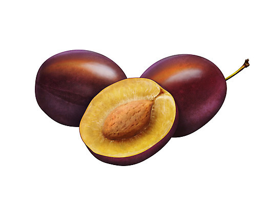 포토 JPG 해외이미지 식물 열매 음식 줄기 백그라운드 잎 다이어트 과일 일러스트 부분 자연 디저트 건강 3 씨앗 사람없음 가로 빨간색 초록색 파란색 보라색 흰색 신선 그룹 달콤 맛 잼 자르기 오브젝트 유기농 날것 자두 내추럴 고립 숙성 채식주의자 해외202004 해외포토 웰빙 컬러 컨셉 모션 소스_음식 생태계 채식 파일형식 이미지허브