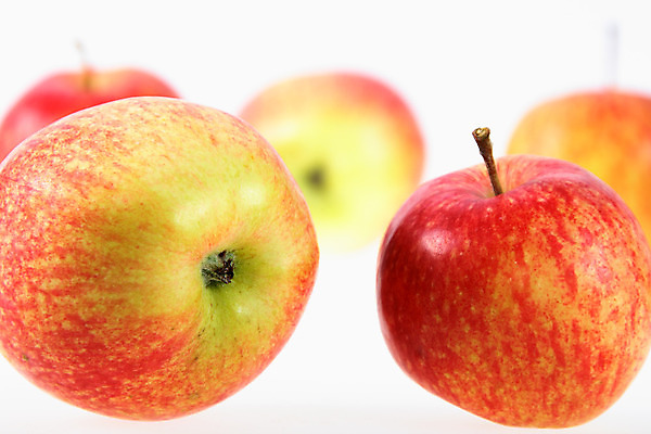 포토 JPG 해외이미지 라이프스타일 음식 백그라운드 채소 과일 재료 자연 추상 건강 그림자 사람없음 빨간색 농장 노란색 정원 침묵 수확 가을 신선 그룹 달콤 사과 먹기 가득함 오브젝트 날것 구성 숙성 채식주의자 해외202004 해외포토 계절 컬러 무늬 농업 모션 생활 소리 맛 생태계 채식 파일형식 이미지허브