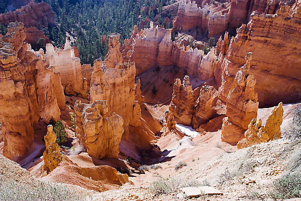 포토 JPG 해외이미지 나무 여행 오렌지 자연 휴가 산 풍경 사람없음 빨간색 골짜기 미국 사막 시골 그랜드캐니언 서쪽 평야 해외202004 해외포토 식물 컬러 북아메리카 과일 방향 생태계 파일형식 이미지허브