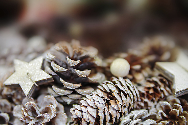 포토 JPG 해외이미지 나무 전통 디자인 배너 계절 행복 포스터 백그라운드 크리스마스 겨울 패턴 공 추상 휴가 불꽃 새로움 기념 프레임 선물 사람없음 그래픽 장식 빨간색 초록색 빛 우주 축제 수확 흰색 인사 신용카드 황금 12월 연도 질감 복고 보케 엽서 초대 해외202004 해외포토 식물 기념일 감정 컬러 컨셉 무늬 농업 불 금융 예절 날짜 편지 파일형식 이미지허브