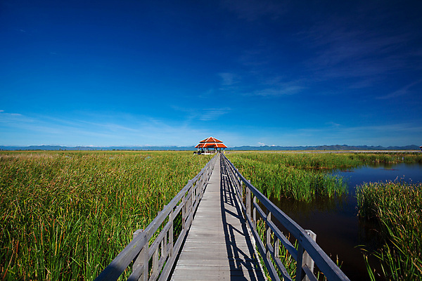 포토 JPG 해외이미지 나무 공원 아시아 길 밧줄 여행 자국 자연 휴가 산 매달리기 사람없음 야외 목재 초록색 여행객 산책 트래킹 하이킹 탐험 도전 널 숲 접속 위험 통로 건너기 방법 옛날 전국 해외202004 해외포토 식물 공공시설 나라 줄 컬러 컨셉 재료 모션 레저 휴식 사람 생태계 파일형식 이미지허브