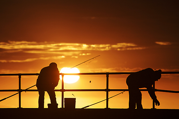 포토 JPG 해외이미지 남자 실루엣 호수 선 스포츠 바다 섬 여행 오렌지 자연 하늘 낚시 휴가 어류 사람 풍경 취미 사람없음 야외 물 여름 태양 평화 일출 일몰 새벽 장비 잡기 만 고리 어부 양동이 낚시꾼 포트 미끼 얼레 내추럴 수평선 해외202004 해외포토 자연요소 직업 계절 컨셉 과일 모션 레저 촬영기법 노을 수중동물 생태계 파일형식 이미지허브