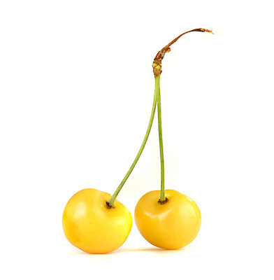 포토 JPG 해외이미지 열매 음식 백그라운드 과일 자연 디저트 사람없음 알약 노란색 흰색 체리 달콤 먹기 고립 해외202004 해외포토 식물 컬러 모션 약 맛 생태계 파일형식 이미지허브