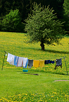 포토 JPG 해외이미지 나무 옷 선 밧줄 셔츠 티셔츠 반바지 하늘 주택 건조 잔디 사람없음 야외 세로 초록색 여름 치마 수건 컬러풀 노란색 봄 활발 흰색 직물 신선 면 변화 빨래 빨랫줄 민들레 배열 언덕 빨래집게 멀티 줄서기 타이즈 해외202004 해외포토 식물 계절 꽃 줄 컬러 컨셉 상의 가사 바지 모션 하의 집게 건물 위생용품 파일형식 이미지허브