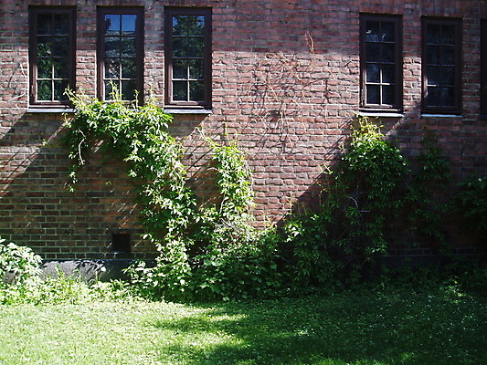 포토 JPG 해외이미지 식물 외관 벽 창문 벽돌 잔디 사람없음 빛 태양 그늘 해외202004 해외포토 자연요소 파일형식 이미지허브