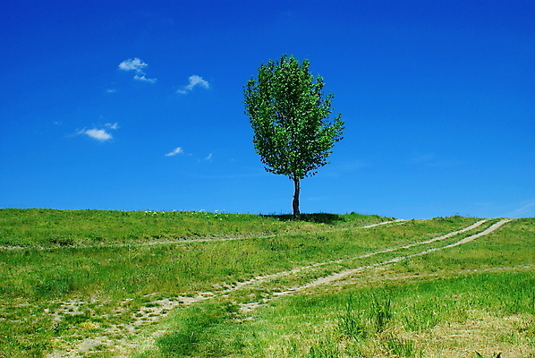 포토 JPG 해외이미지 나무 구름 도로 길 밭 자연 하늘 산 풍경 사람없음 야외 초록색 여름 파란색 컬러풀 환경 봄 시골 신선 고독 지역 파라다이스 평야 수평선 해외202004 해외포토 자연요소 식물 계절 감정 컬러 농업 교통시설 생태계 파일형식 이미지허브