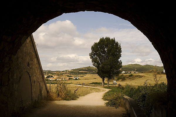 포토 JPG 해외이미지 나무 도로 밭 농업 휴가 옥수수 풍경 사람없음 여름 농작물 흙 수확 시골 스페인 아치 밭일 스페인어 해외202004 해외포토 식물 계절 유럽 산업 길 교통시설 곡류 파일형식 이미지허브
