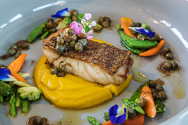 포토 JPG 해외이미지 음식 조각 채소 감자 어류 스테이크 요리 앉기 사람없음 초록색 식사 흰색 신선 그릴 상추 브로콜리 바비큐 굽기 해산물 완두콩 아보카도 베이스 송어 오메가 해외202004 해외포토 컬러 과일 모션 주방용품 현악기 콩 서양음식 수중동물 구이 파일형식 이미지허브