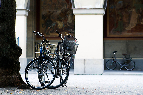 포토 JPG 해외이미지 나무 유럽 여행 건축양식 건강 사람없음 건물 자전거 도시 아치 해외202004 해외포토 식물 건축물 건축 나라 바이크 파일형식 이미지허브