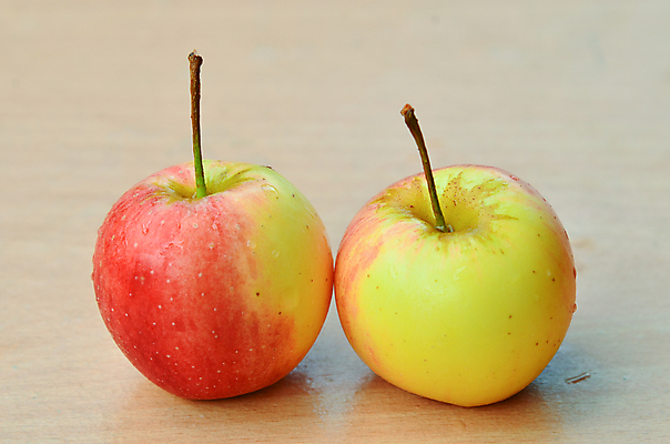 포토 JPG 해외이미지 나무 음식 농업 과일 건강 사람없음 목재 가로 빨간색 초록색 여름 상자 농장 노란색 수확 가을 시장 사과 큼 나무상자 먹기 가득함 유기농 날것 흙더미 내추럴 숙성 해외202004 해외포토 식물 웰빙 계절 산업 컬러 재료 모션 흙 크기 파일형식 더미 이미지허브