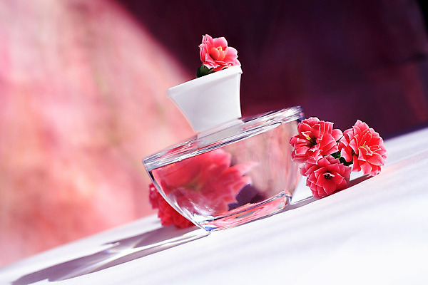 포토 JPG 해외이미지 웰빙 꽃 꽃다발 신체 포장 자연 유리 건강 선물 사람없음 치료 물 약 반사 유행 스파 화장품 흰색 신선 투명 액체 황금 고급 상품 컨테이너 소중 허브 순수 오브젝트 싱글 향기 냄새 아로마 열정 스프레이 분무기 아로마테라피 고립 돌봄 변기통 해외202004 해외포토 자연요소 식물 감정 산업 컬러 컨셉 의학 모션 재질 뷰티 생태계 테라피 파일형식 이미지허브