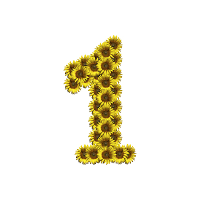 포토 JPG 해외이미지 1 디자인 꽃 텍스트 해바라기 타이포그라피 사람없음 숫자 타입 고립 해외202004 해외포토 식물 문자 파일형식 이미지허브