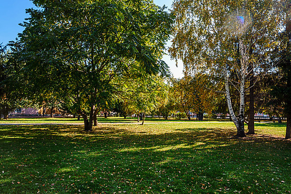 포토 JPG 해외이미지 나무 식물 계절 공원 길 단풍 잎 오렌지 자연 날씨 풍경 사람없음 야외 목재 빨간색 초록색 컬러풀 햇빛 노란색 환경 정원 맑음 가을 황금 숲 9월 10월 내추럴 땅바닥 해외202004 해외포토 공공시설 컬러 과일 재료 바닥 태양 날짜 생태계 파일형식 이미지허브