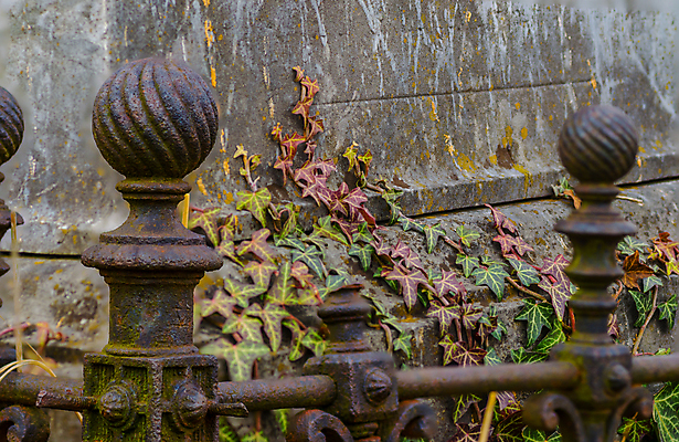 포토 JPG 해외이미지 꽃 기독교 종교 지구 백그라운드 십자가 부활절 사람없음 목재 조각상 검은색 성경 바위 기도 죽음 예수 영혼 목사 심볼 애도 신성 땅파기 신앙심 옛날 장례식 오싹 해외202004 해외포토 나무 식물 기념일 컬러 재료 종교용품 조형물 신_종교 성직자 파일형식 이미지허브