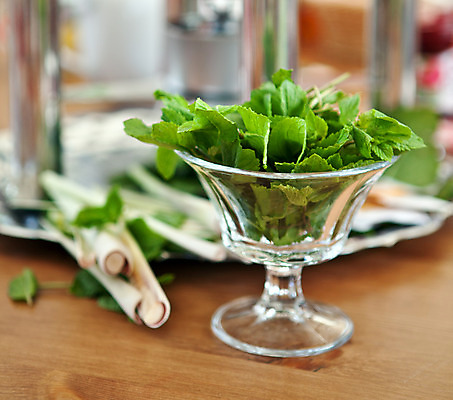 포토 JPG 해외이미지 식물 라이프스타일 음료 음식 잎 재료 자연 유리 탁자 건강 사람없음 장식 컵 초록색 여름 신선 차 시원함 민트 허브 내추럴 해외202004 해외포토 식기 계절 컬러 가구 재질 생활 생태계 파일형식 이미지허브