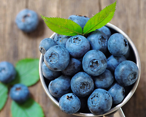 포토 JPG 해외이미지 음식 사람없음 해외202004 해외포토 파일형식 이미지허브