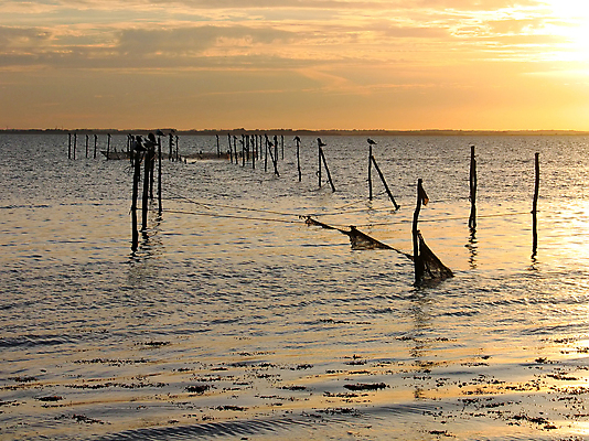 포토 JPG 해외이미지 전통 산업 문화 음식 바다 갈매기 하늘 낚시 어류 풍경 사람없음 야외 물 침묵 황혼 일몰 새벽 잡기 그물 묶기 상업 낚시꾼 수평선 해외202004 해외포토 자연요소 모션 조류 레저 노을 수중동물 소리 파일형식 이미지허브