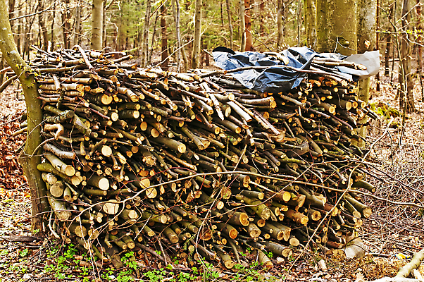 포토 JPG 해외이미지 나무 사람없음 목재 재활용 에너지 주식 숲 장작 날것 통나무 난방 흙더미 내추럴 해외202004 해외포토 식물 재료 금융 흙 친환경 파일형식 더미 이미지허브