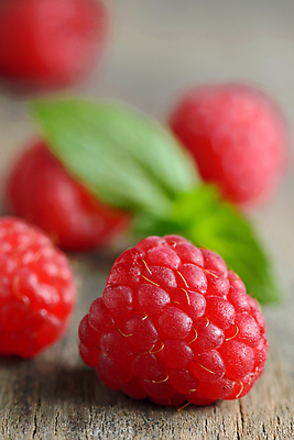 포토 JPG 해외이미지 접시 계절 열매 음식 잎 다이어트 과일 자연 유리 탁자 디저트 건강 사람없음 목재 빨간색 여름 검은색 사막 신선 그룹 사발 달콤 맛 민트 가득함 유기농 날것 산딸기 내추럴 바이오 숙성 채식주의자 해외202004 해외포토 나무 식물 식기 웰빙 컬러 가구 컨셉 재료 재질 사기그릇 허브 생태계 채식 파일형식 이미지허브