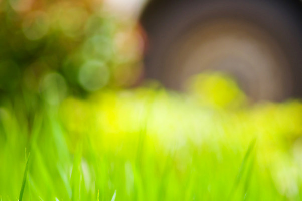 포토 JPG 해외이미지 모양 나무 식물 백그라운드 잎 패턴 밭 자연 밥 추상 사람없음 빛 컬러풀 햇빛 태양 우주 환경 맑음 기쁨 원형 소프트포커스 숲 유기농 보케 내추럴 블러 해외202004 해외포토 자연요소 도형 웰빙 감정 음식 컬러 무늬 농업 날씨 촬영기법 생태계 파일형식 이미지허브