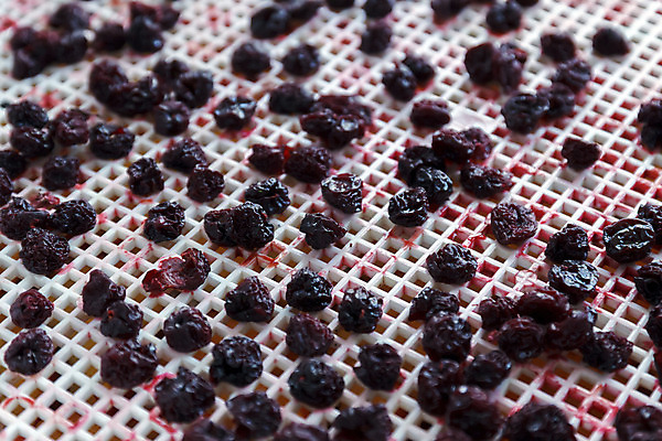 포토 JPG 해외이미지 스튜디오촬영 실내 사람없음 체리 건과일 건조기 해외202004 해외포토 과일 건조 내부 기계 파일형식 이미지허브