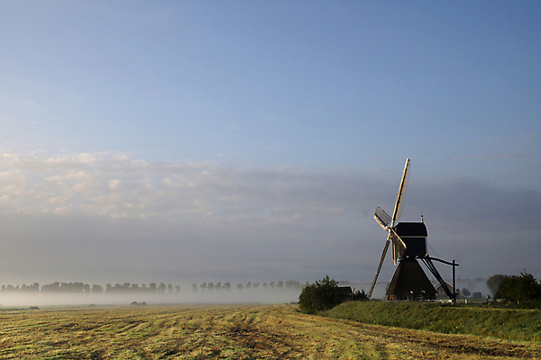 포토 JPG 해외이미지 밭 농업 사람없음 풍차 안개 볏짚 해외202004 해외포토 산업 날씨 짚 파일형식 이미지허브