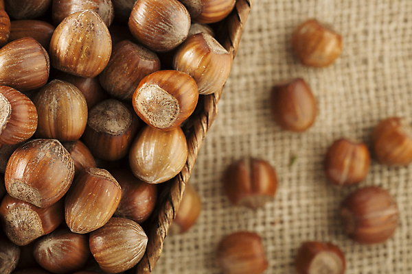 포토 JPG 해외이미지 실내 근접촬영 사람없음 아웃포커스 견과류 담기 헤이즐넛 해외202004 해외포토 뷰포인트 모션 촬영기법 내부 파일형식 이미지허브