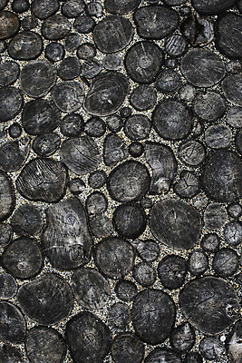 포토 JPG 해외이미지 길 여행 백그라운드 자국 자연 풍경 사람없음 야외 목재 초록색 산책로 하이킹 탐험 도시 숲 오솔길 단계 내추럴 방법 해외202004 해외포토 나무 컬러 재료 레저 생태계 파일형식 이미지허브