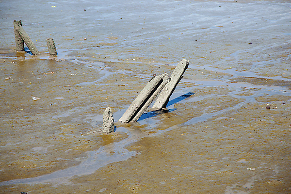 포토 JPG 해외이미지 산업 모래 벽 자연 사람없음 야외 건물 물 강 환경 흙 장비 시골 기둥 연못 도시 위험 땅 홍수 폐허 운하 무거움 자원 깨짐 땅바닥 방법 송곳 옛날 콘크리트 해외202004 해외포토 자연요소 건축물 건축 컨셉 바닥 무게 자연재해 생태계 파일형식 이미지허브