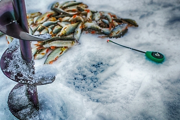 포토 JPG 해외이미지 손 옷 계절 호수 스포츠 이동 겨울 모션 자연 하늘 낚시 어류 풍경 취미 사람없음 야외 빨간색 물 강 태양 냉동 얼음 일몰 장비 추위 흰색 나사 연못 신선 업무 구멍 시원함 북극 질감 빙하 서리 낚시꾼 봉 북쪽 송곳 인내 해외202004 해외포토 자연요소 컬러 컨셉 레저 신체부위 노을 수중동물 공구 작업 극지방 방향 생태계 파일형식 이미지허브