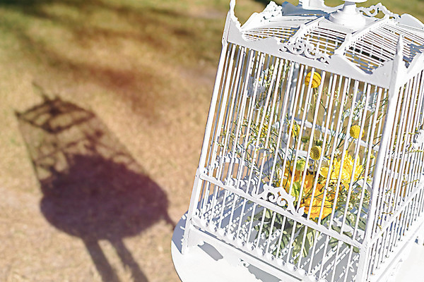 포토 JPG 해외이미지 그릇 식기 접시 디자인 음식 결혼 백그라운드 포크 유리 탁자 연꽃 이벤트 사람없음 장식 초록색 세트 장미 노란색 파티 금속 요식업 식당 숟가락 식사 저녁식사 흰색 고급 우아함 은색 배열 냅킨 보케 정리 새장 설정 점심식사 정중 해외202004 해외포토 꽃 산업 컬러 가구 컨셉 재질 수저 상점 케이지 파일형식 이미지허브