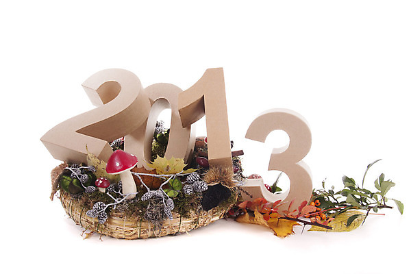 포토 JPG 해외이미지 단풍 잎 2 미래 새로움 새해 기념 사람없음 파티 가을 축하 시간 연도 시작 도토리 해외202004 해외포토 식물 계절 컨셉 이벤트 견과류 파일형식 이미지허브