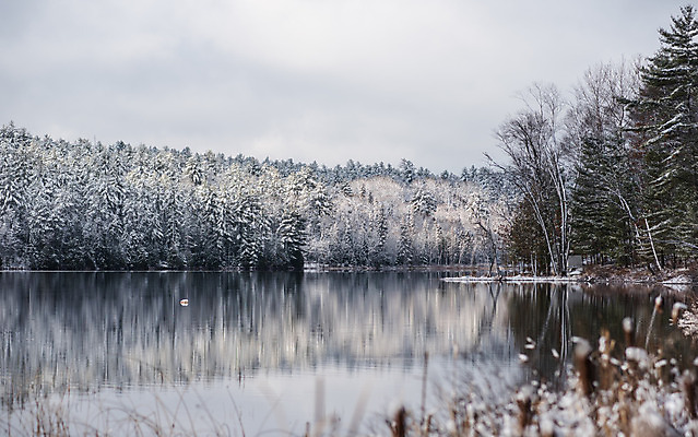 포토 JPG 해외이미지 나무 호수 겨울 자연 아침 사람없음 야외 물 강 반사 평화 환경 침묵 추위 흰색 나뭇가지 시골 신선 황무지 습지 숲 속도 침엽수 흐림 야광 내추럴 삼림지대 해외202004 해외포토 주간 자연요소 식물 계절 컬러 컨셉 날씨 빛 소리 생태계 파일형식 이미지허브
