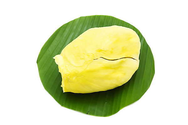 포토 JPG 해외이미지 나무 계절 음식 조각 오렌지 과일 재료 부분 태국 자연 디저트 동양인 사람없음 초록색 갈색 노란색 신선 못 가시 달콤 맛 큼 왕 유기농 날것 냄새 불쾌함 숙성 이국적 해외202004 해외포토 식물 웰빙 감정 아시아 컬러 컨셉 인종 공구 크기 생태계 파일형식 이미지허브