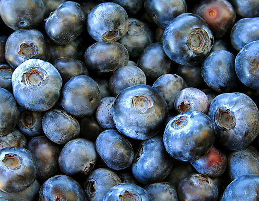 포토 JPG 해외이미지 계절 열매 음식 백그라운드 다이어트 과일 추상 디저트 건강 사람없음 파란색 컬러풀 검은색 신선 달콤 맛 다발 유기농 블루베리 숙성 해외202004 해외포토 식물 웰빙 컬러 컨셉 무늬 파일형식 이미지허브