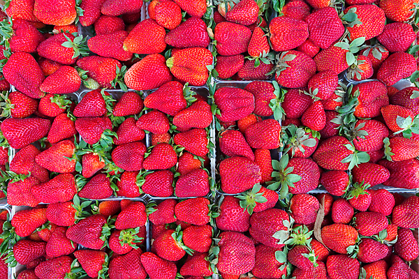 포토 JPG 해외이미지 계절 열매 음식 백그라운드 다이어트 과일 딸기 디저트 건강 씨앗 사람없음 빨간색 초록색 여름 농작물 컬러풀 쌓기 상점 봄 신선 시장 달콤 맛 아침식사 먹기 유기농 생물학 날것 흙더미 슈퍼마켓 내추럴 숙성 채식주의자 해외202004 해외포토 식물 웰빙 교육 컬러 컨셉 농업 모션 식사 흙 채식 파일형식 더미 이미지허브