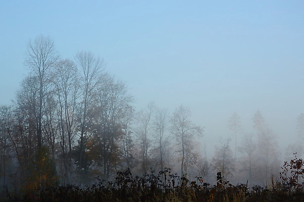 포토 JPG 해외이미지 나무 계절 실루엣 여행 백그라운드 자연 하늘 아침 산 풍경 사람없음 야외 목재 여름 마을 봄 산책 안개 시골 숲 언덕 해외202004 해외포토 주간 식물 재료 날씨 휴식 촬영기법 생태계 파일형식 이미지허브