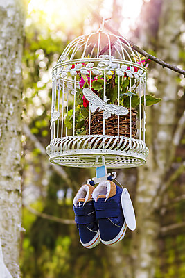 포토 JPG 해외이미지 나무 옷 꽃 리본 어린이 백그라운드 신발 컨셉 부츠 매달리기 소년 사람없음 야외 목재 장식 파란색 유행 봄 흰색 나뭇가지 아기 직물 쌍 생일 달콤 심볼 오브젝트 활 부드러움 새장 해외202004 해외포토 식물 계절 기념일 남자 컬러 재료 모션 사람 감각 맛 케이지 파일형식 이미지허브