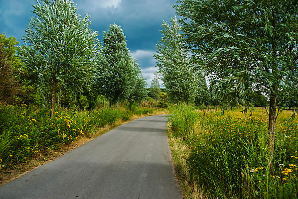 포토 JPG 해외이미지 나무 구름 영어 산업 도로 길 벽 농업 교통시설 자연 풍경 사람없음 야외 초록색 여름 울타리 햇빛 농장 다이어리 바위 농촌 시골 소 호주 냄비 방목 멀리 선로 해외202004 해외포토 자연요소 식물 문자 계절 컬러 교통 포유류 담장 태양 사무용품 돌_바위 오세아니아 축산업 솥 시설 생태계 파일형식 이미지허브