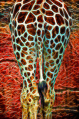 포토 JPG 해외이미지 동물 야생동물 패턴 일러스트 포유류 추상 사람없음 빛 기린 꼬리 네온 왕국 해외202004 해외포토 무늬 파일형식 이미지허브