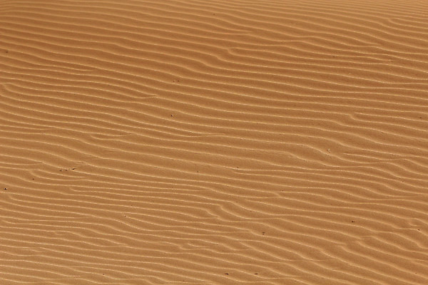 포토 JPG 해외이미지 지구 모래 여행 백그라운드 패턴 아프리카 자연 추상 건조 따뜻함 풍경 사람없음 빨간색 글로벌 환경 계곡 흙 행성 사막 바위 죽음 뜨거움 황무지 모래언덕 버리기 묘사 부식 질감 지역 가뭄 그런지 나미비아 땅바닥 지질학 해외202004 해외포토 교육 나라 컬러 무늬 모션 날씨 바닥 우주 돌_바위 언덕 생태계 남아프리카 파일형식 이미지허브